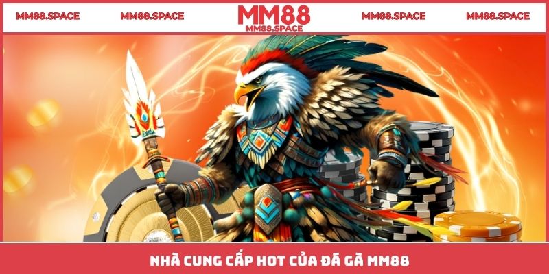 Nhà cung cấp hot của đá gà MM88