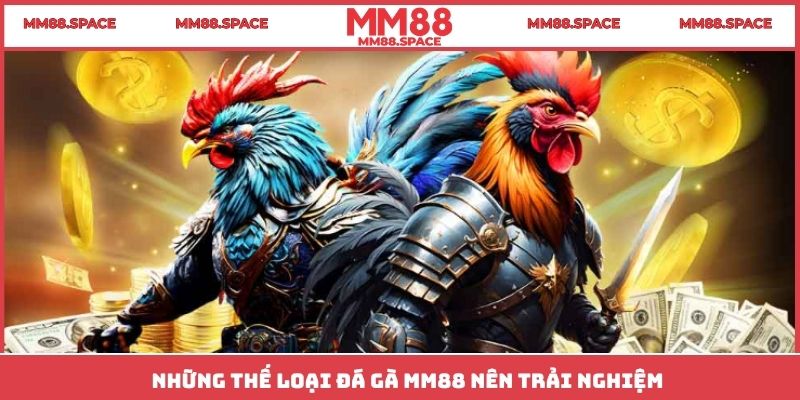 Những thế loại đá gà MM88 nên trải nghiệm